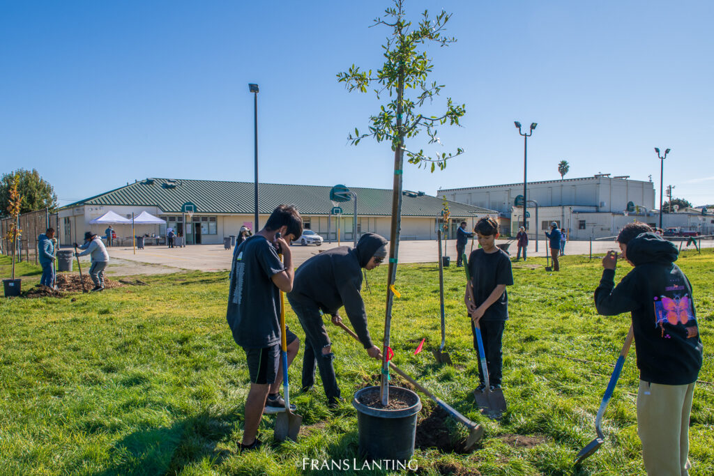 Pajaro Middle Workday Watsonville Wetlands Watch