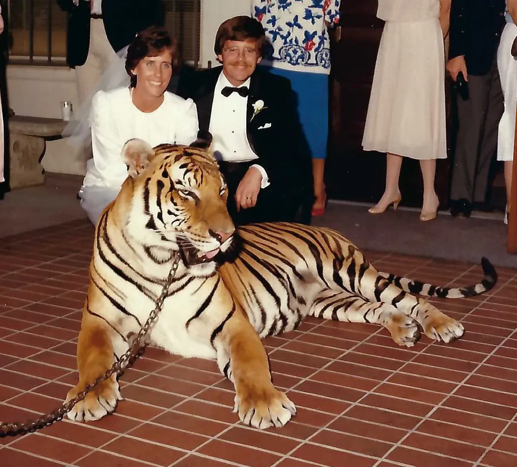 Hank and Julie Wedding with tiger