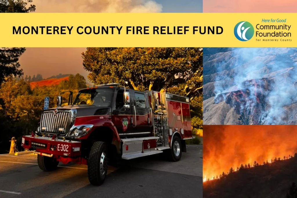 Timber Fire 2026